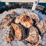 Carlsbad Kraken oysters on ice