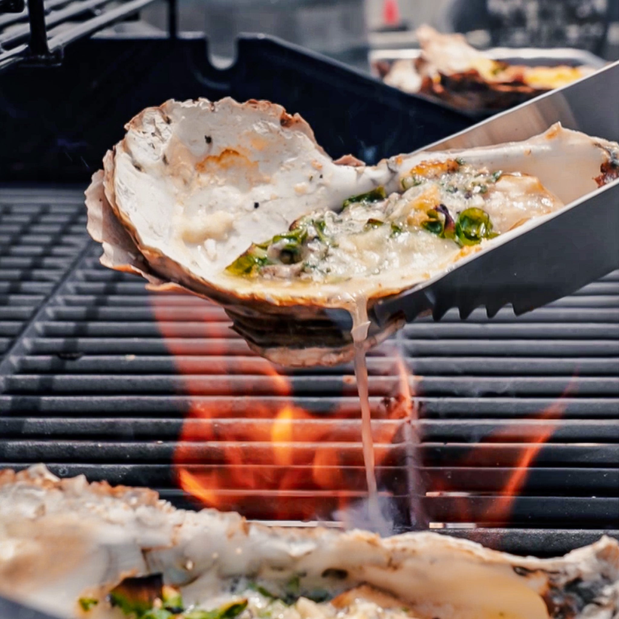 Carlsbad Kraken oysters being grilled on the barbeque