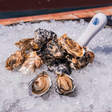 Carlsbad Luna oysters on ice with a shucking knife.